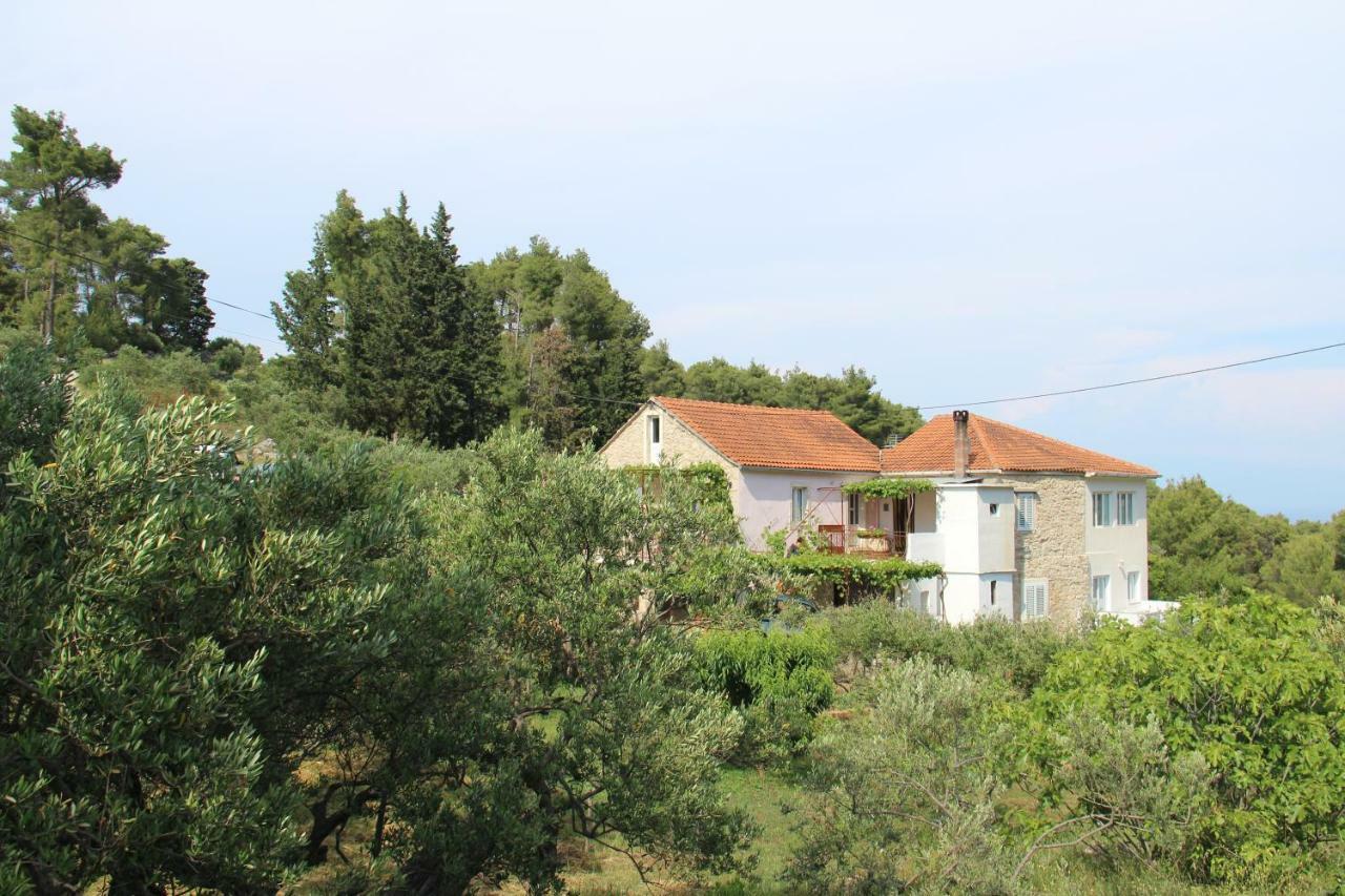 Apartmani Ivankovic Vrisnik Exterior photo